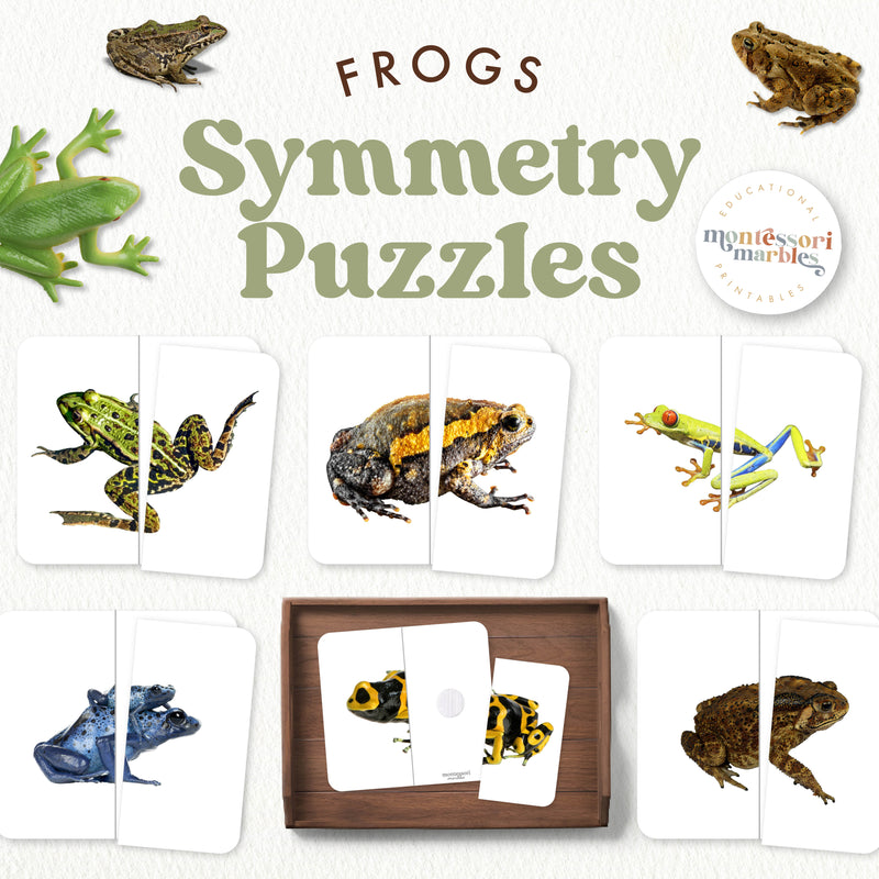 Frog two-piece symmetry puzzles for visual matching and nature study