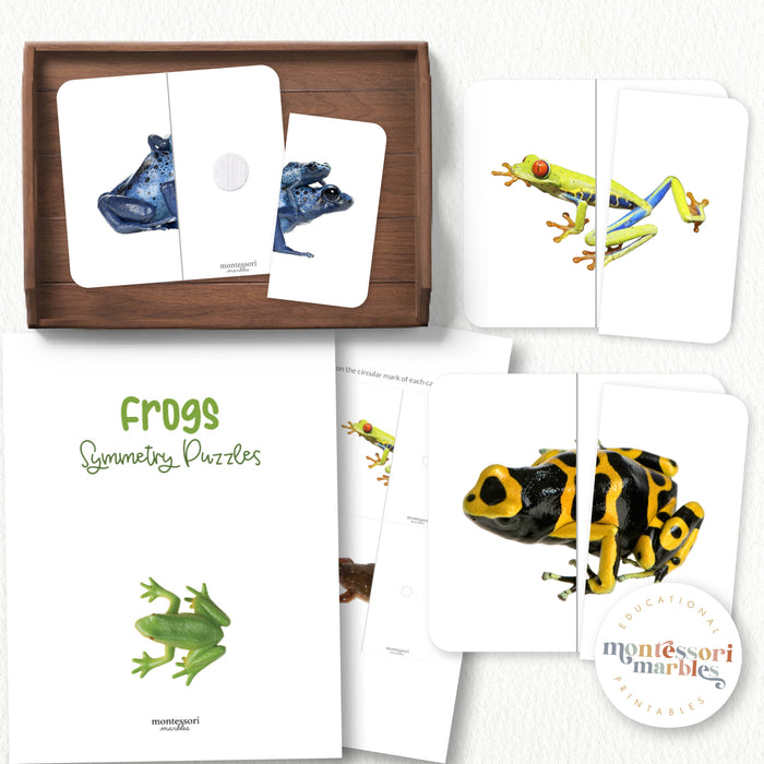 Frogs Symmetry Puzzles