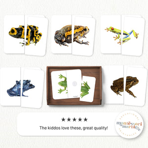 Frogs Symmetry Puzzles