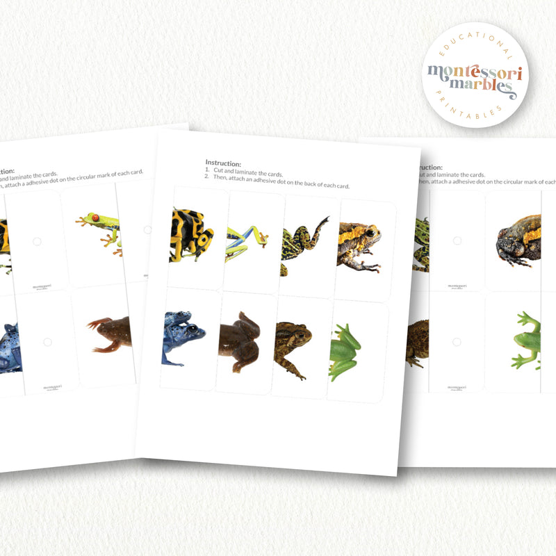 Frogs Symmetry Puzzles