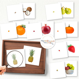 Fruits Mini Bundle