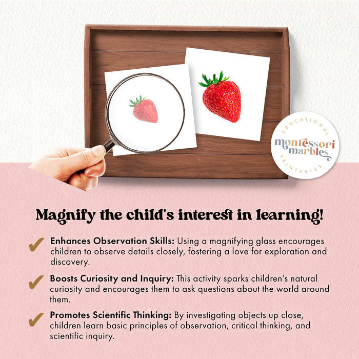 Fruits Magni Match