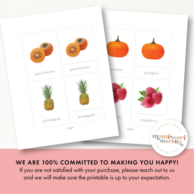 Fruits Nomenclature Cards