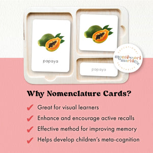 Fruits Montessori Nomenclature Cards