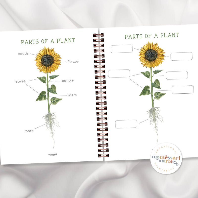 Gardening Early Years Activity Workbook