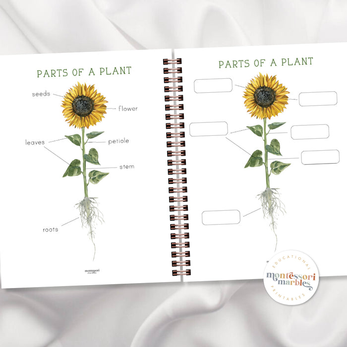 Gardening Early Years Activity Workbook