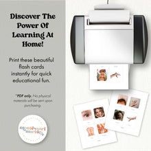 Load image into Gallery viewer, Human Body Flash Cards

