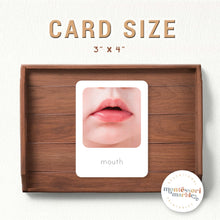 Load image into Gallery viewer, Human Body Flash Cards
