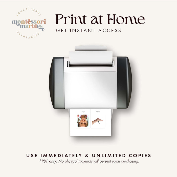 Human Body Flash Cards