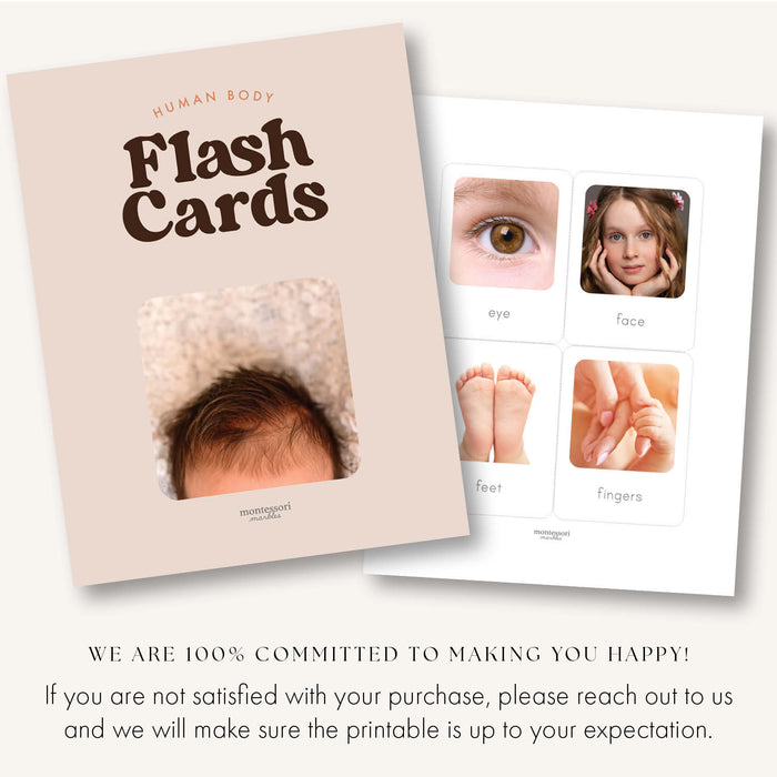 Human Body Flash Cards