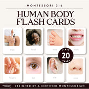 Human body parts flash cards with real photographs — ages 3-6
