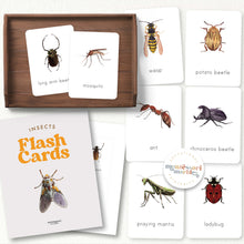 Load image into Gallery viewer, Insects Flash Cards
