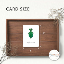Load image into Gallery viewer, Insects Flash Cards
