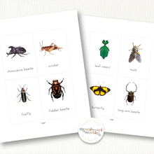 Load image into Gallery viewer, Insects Flash Cards

