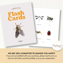 Load image into Gallery viewer, Insects Flash Cards

