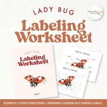 Load image into Gallery viewer, Parts of a Ladybug
