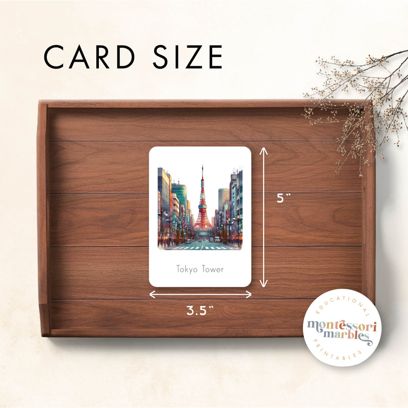 Landmarks Nomenclature Cards