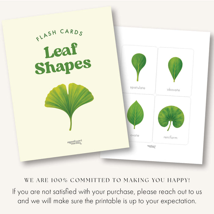 Leaf Shapes Flash Cards
