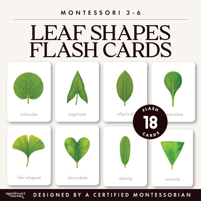 Leaf Shapes Flash Cards