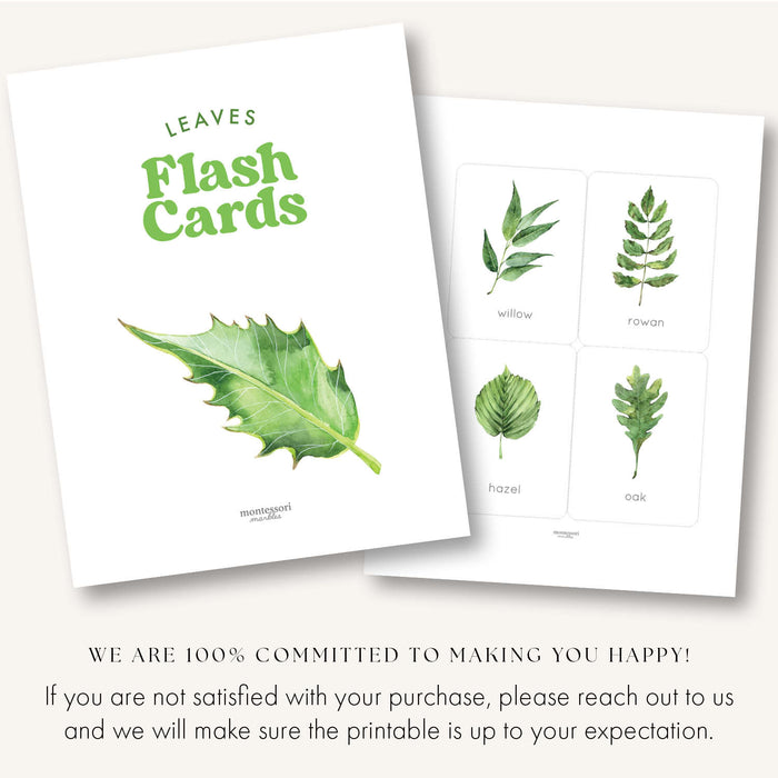 Leaf Identification Flash Cards