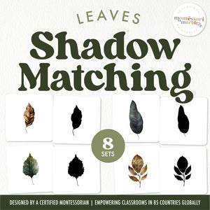 Leaves Shadow Matching