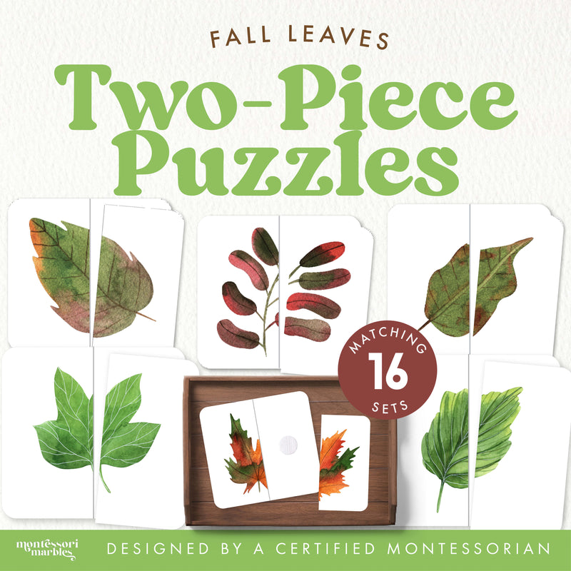 Autumn leaf symmetry puzzles with two-piece matching design — ages 3-6
