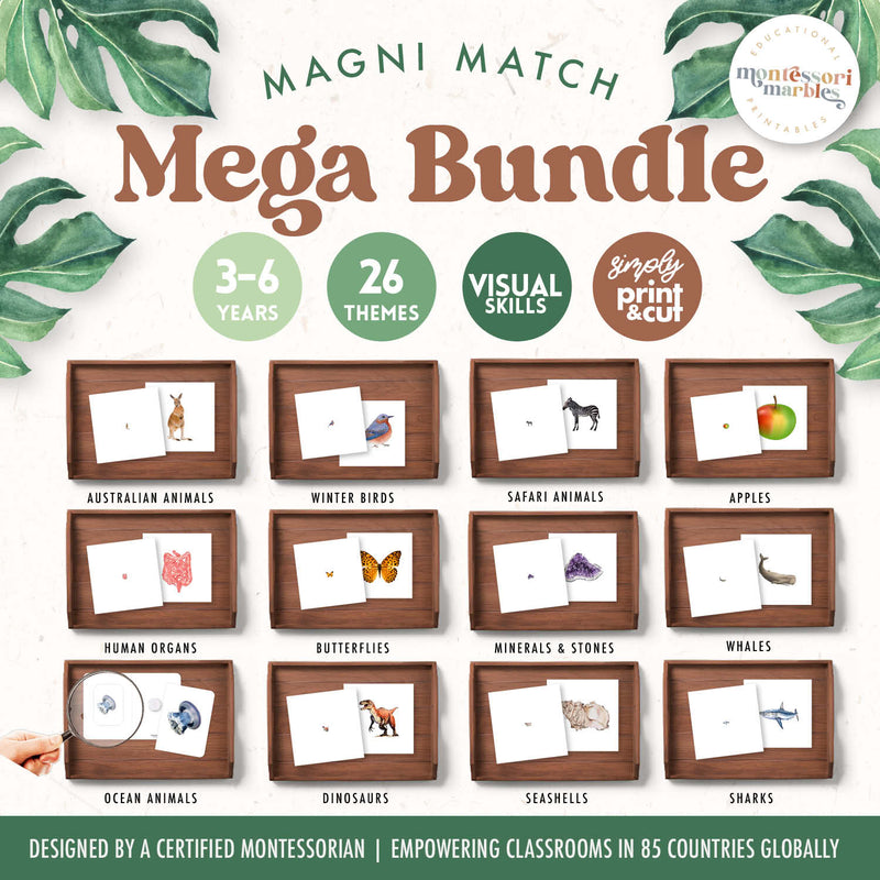 Magnifying glass matching mega-bundle with science and social studies — ages 3-6