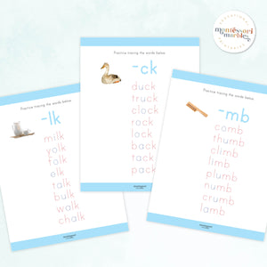 Montessori Blue Series Workbook | Ending Blends