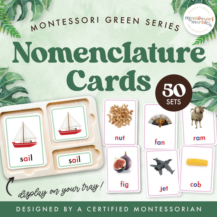 Montessori Green Series Nomenclature Cards