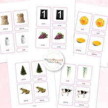 Load image into Gallery viewer, Montessori Serie Rosa Tarjetas de Nomenclatura
