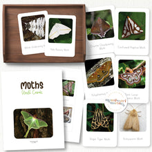 Load image into Gallery viewer, Moths Flash Cards
