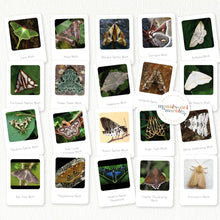 Load image into Gallery viewer, Moths Flash Cards
