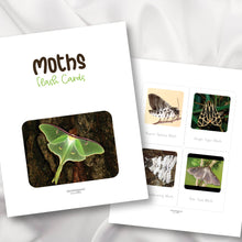 Load image into Gallery viewer, Moths Flash Cards
