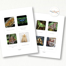 Load image into Gallery viewer, Moths Flash Cards
