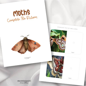 Moths Complete the Pictures