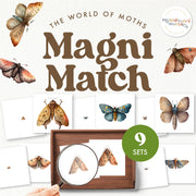 Moths magnifying match for insect observation