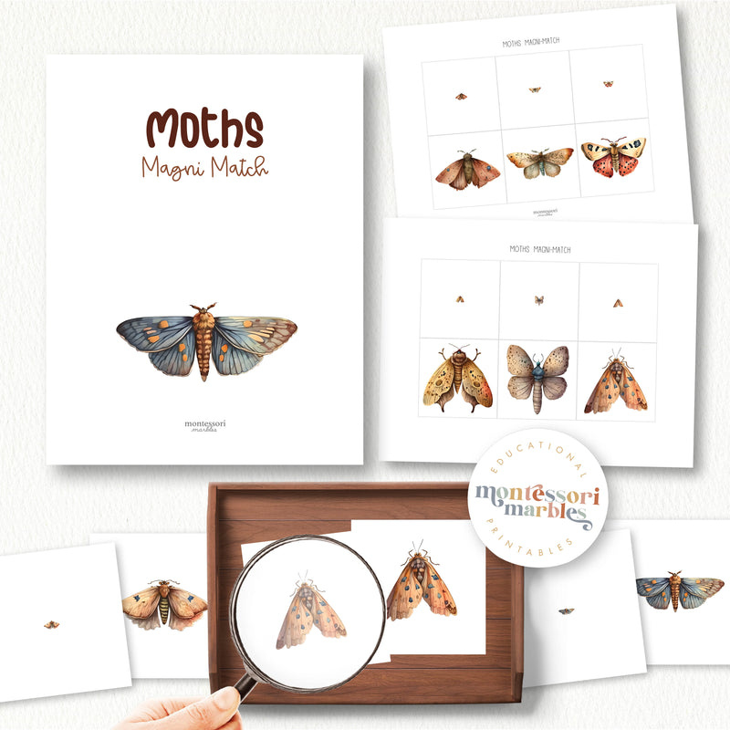 Moths Magni Match