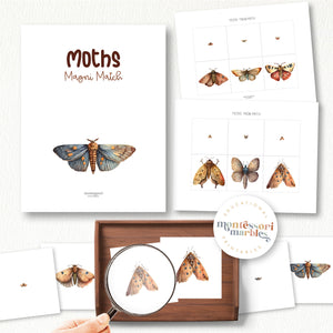 Moths Magni-Match