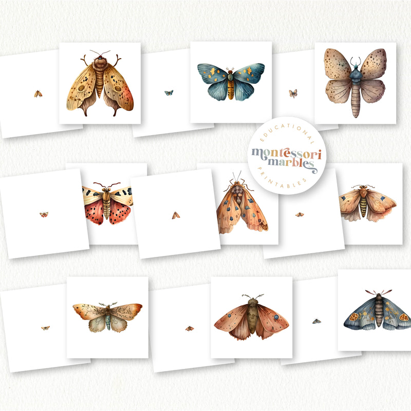 Moths Magni Match