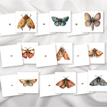 Load image into Gallery viewer, Moths Magni-Match
