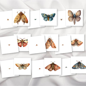 Moths Magni-Match