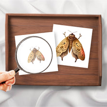 Load image into Gallery viewer, Moths Magni-Match
