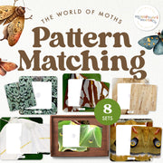 Moths pattern matching puzzle for fall learning
