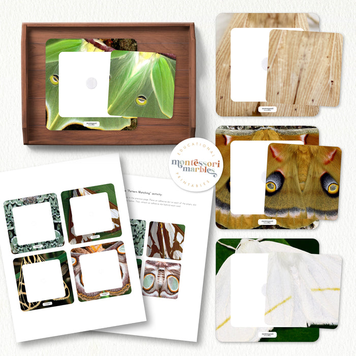 Moths Pattern Matching Puzzle