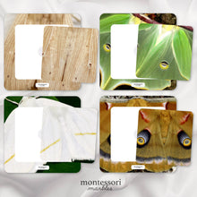 Load image into Gallery viewer, Moths Pattern Matching Puzzle
