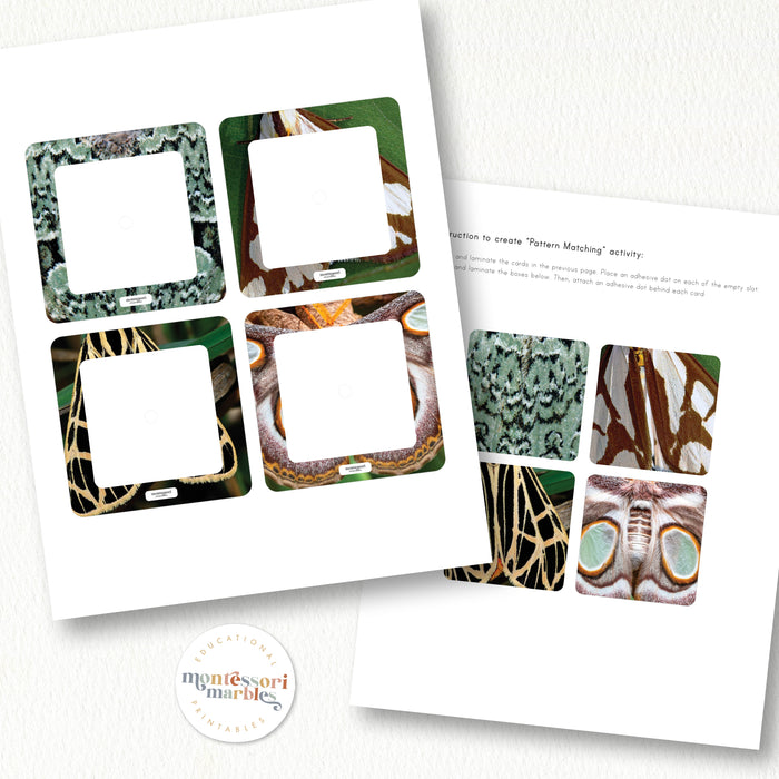Moths Pattern Matching Puzzle