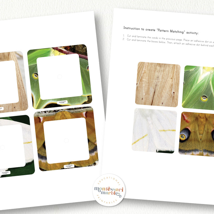 Moths Pattern Matching Puzzle
