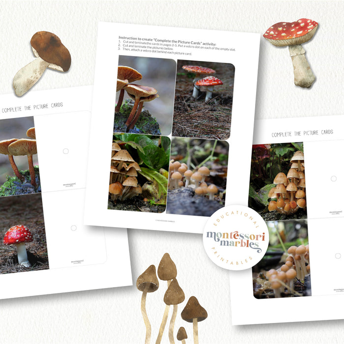 Mushroom Complete The Pictures