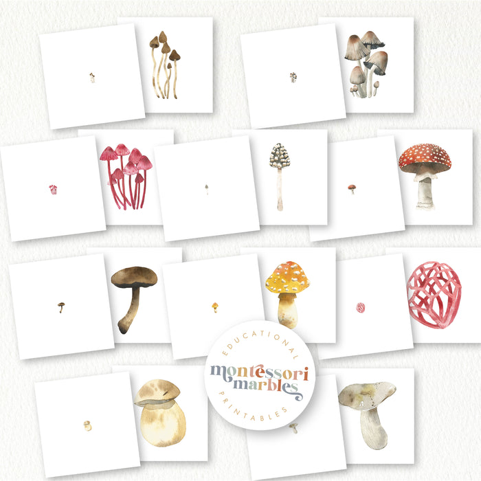 Mushroom Magni-Match
