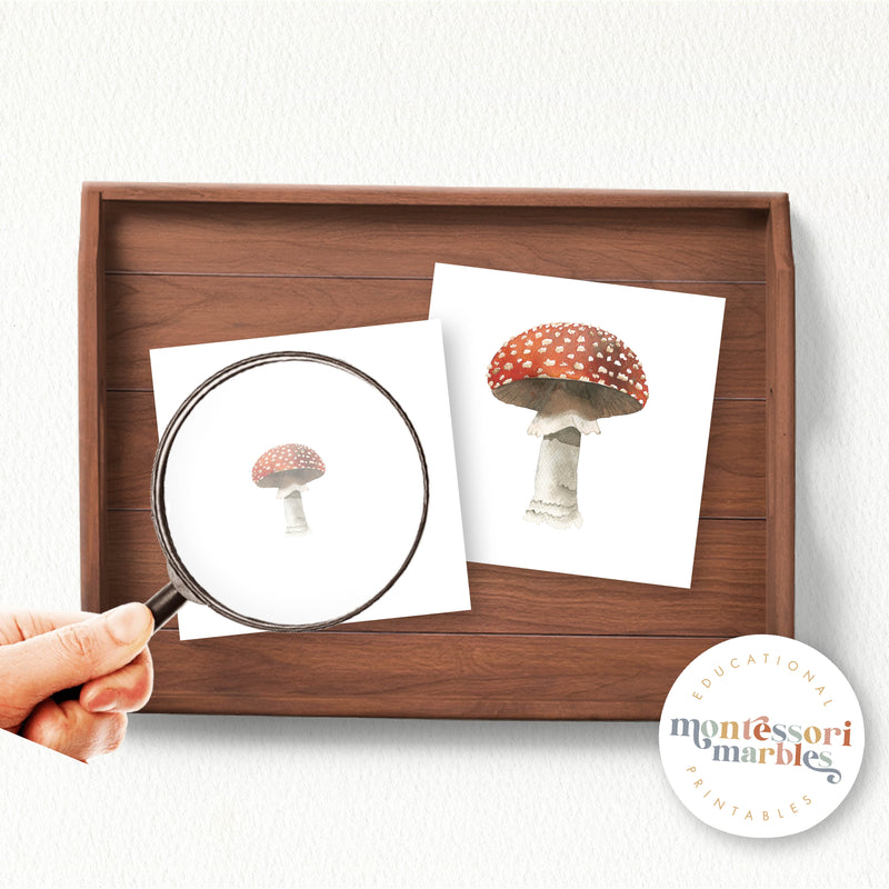 Mushroom Magni Match